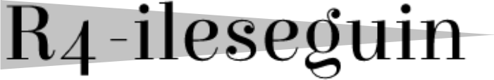 R4-ileseguin.com